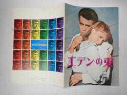 エデンの東 映画パンフレット