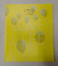 映画パンフレット LOVE LIFE