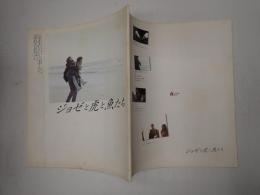 映画パンフレット　ジョゼと虎と魚たち