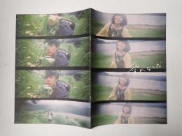 映画パンフレット　愛がなんだ