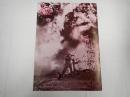 映画パンフレット 帰らざる勇者