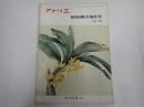 アトリエ No.570 1974年8月号 植物画の描き方