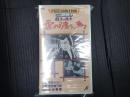 映画VHS 鯉名の銀平　雪の渡り鳥