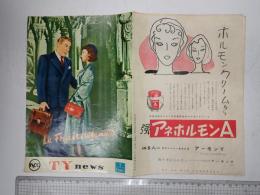 映画パンフレット 禁断の木の実 T.Y news