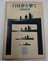 白昼夢を撃て