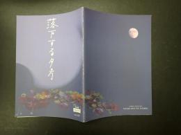 映画パンフレット CINE SWITCH vol.60 落下する夕方