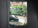 悲劇喜劇　2011年2月号 No.724