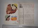 映画パンフレット（1枚2折） 凸凹外人部隊 American  Picture News