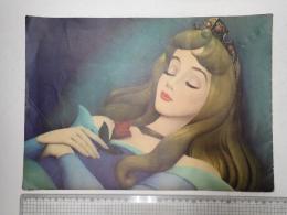 映画パンフレット 眠れる森の美女