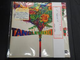 ▼LP Tanglewood 63/Michael Gibbs