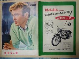 映画パンフレット エデンの東