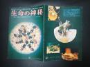 映画パンフレット 生命の神秘　日比谷映画劇場No,57-4