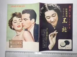 映画パンフレット 陽のあたる場所