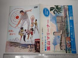 映画パンフレット 太陽と遊ぼう！