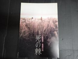 映画パンフレット 死の棘