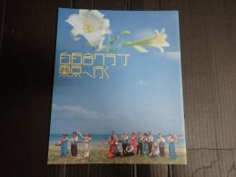 映画パンフレット 白百合クラブ東京へ行く