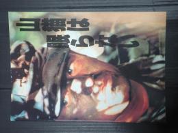 映画パンフレット 山猫は眠らない