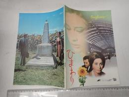 映画パンフレット ひまわり