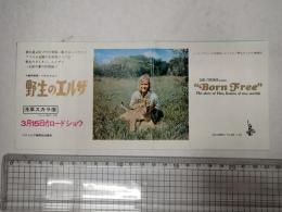 映画チラシ 野生のエルザ 浅草スカラ座