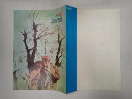 映画パンフレット　みどりの瞳