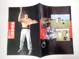 映画パンフレット 刑事物語２ りんごの詩