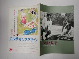 映画パンフレット いつか見た青い空