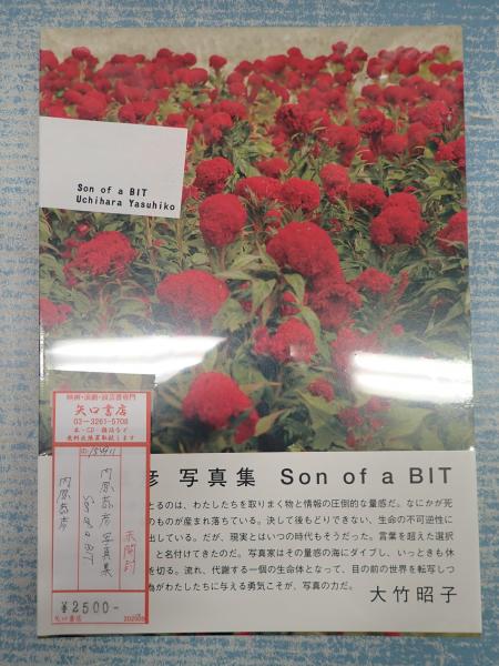 内原恭彦 写真集 Son of a BIT(内原恭彦) / 古本、中古本、古書籍の