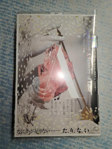 愛の渇き/アンナ・カヴァン アンナ・カヴァン 単行本 4冊セット 愛の渇き/アンナ・カヴァン アンナ・カヴァン 単行本 4冊セット