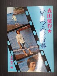 森田健作★ひとつぶの青春