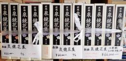 揃　新編　泉鏡花集　1～10巻　別巻2冊　12冊揃