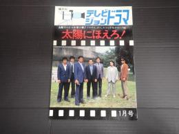 テレビジョンドラマ №13 太陽にほえろ！2