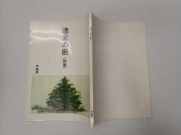 映画台本 透光の樹　準備稿