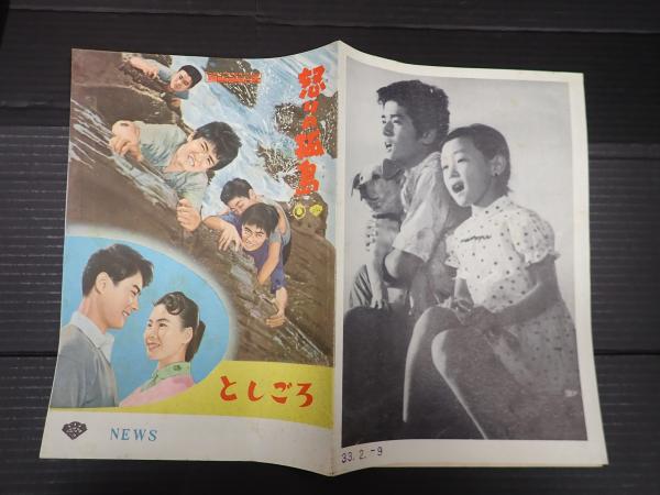 映画パンフレット　27冊 映画パンフレット 27冊 映画 パンフレット 映画パンフレット 27冊 仮面