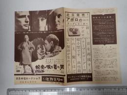映画チラシ 蛇皮の服を着た男 東京丸の内ピカデリー