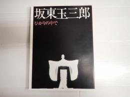 坂東玉三郎 ひかりの中で