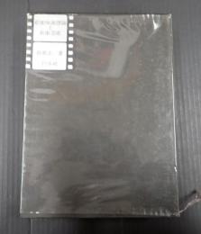  前衛映画理論と前衛芸術