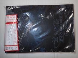 描いちゃ消し描いちゃ消し　岡本喜八の絵コンテ帖