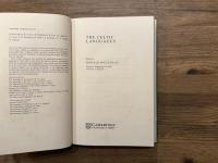 THE CELTIC LANGUAGES