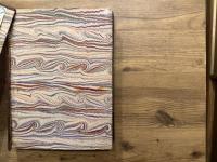 PROMENADES JAPONAISES  TOKIO-NIKKO  TEXTE PAR EMILE GUIMET  DESSINS PAR FELIX REGAMEY