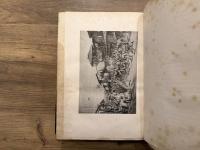 PROMENADES JAPONAISES  TOKIO-NIKKO  TEXTE PAR EMILE GUIMET  DESSINS PAR FELIX REGAMEY