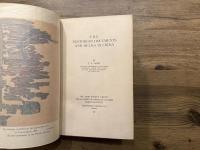 THE NESTORIAN DOCUMENTS AND RELICS IN CHINA