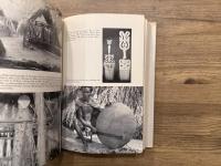 A TREASURY OF AFRO-AMERICAN FOLKLORE   THE ORAL LITERATURE, TRADITIONS, RECOLLECTIONS, LEGENDS, TALES, SONGS, RELIGEOUS BELIEFS, CUSTOMS, SAYINGS, AND HUMOR OF PEOPLES OF AFRICAN DESCENT IN THE AMERICAS