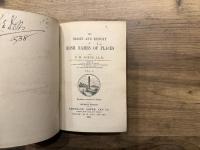 THE ORIGIN AND HISTORY OF IRISH NAMES PLACES