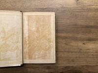 WHEELS,  1920  (FIFTH CYCLE)  EDITED BY EDITH SITWELL