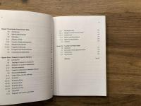 Grammaticalization of Verbs in Mandarin Chinese