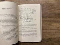 THE LANGUAGES OF JAPAN