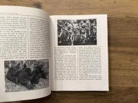 Transformations of Myth Through Time