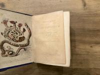 POPULAR HHISTORY OF THE AQUARIUM OF MARINE AND FRESH-WATER ANIMALS AND PLANTS.