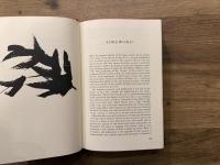THE SOUND OF THE ONE HAND  281 ZEN KOANS WITH ANSWERS  TRANSLATED, WITH A COMMENTARY BY YOEL HOFFMANN  FOREWORD BY ZEN MASTER HIRANO SOJO   INTRODUCTION BY BEN-AMI SCHARFSTEIN