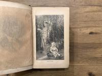 A TRAMP ABROAD; ILLUSTRATED BY W. FR. BROWN, TRUE WILLIAMS, B. DAY AND OTHER ARTISTS-WITH ALSO THREE OR FOUR PICTURES MADE BY THE AUTHOR OF THIS BOOK, WITHOUT OUTSIDE HELP;  IN ALL    THREE HUNDRED AND TWENTY-EIGHT ILLUSTRATIONS.  BY MARK TWAIN, (SAMUEL L. CLEMENS)   (SOLD BY SUBSCRIPTION ONLY)